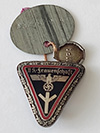 Frauenschaft Welfare membership badge with red oak leaves border